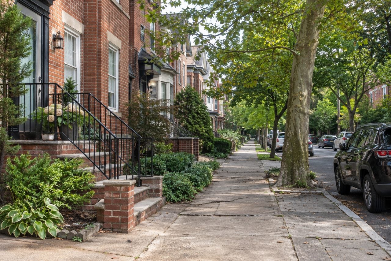 A leafy residential street inspired by northern New Jersey
